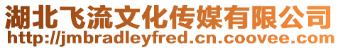 湖北飛流文化傳媒有限公司