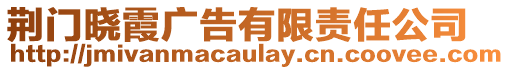 荊門曉霞廣告有限責任公司