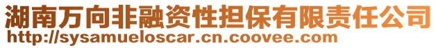 湖南萬向非融資性擔(dān)保有限責(zé)任公司
