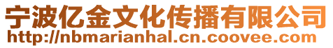 寧波億金文化傳播有限公司