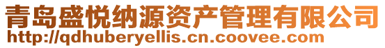 青島盛悅納源資產管理有限公司