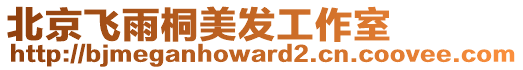 北京飛雨桐美發工作室