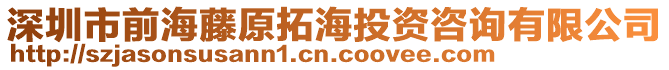 深圳市前海藤原拓海投資咨詢有限公司