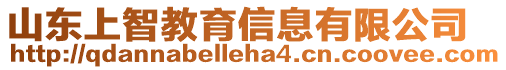 山東上智教育信息有限公司