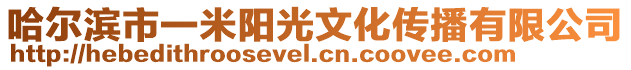 哈爾濱市一米陽(yáng)光文化傳播有限公司