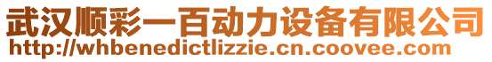 武漢順彩一百動力設備有限公司