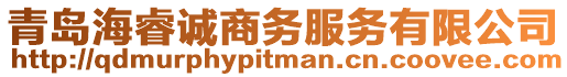 青島海睿誠(chéng)商務(wù)服務(wù)有限公司