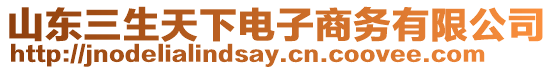 山東三生天下電子商務有限公司