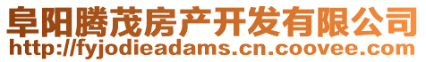 阜陽騰茂房產(chǎn)開發(fā)有限公司
