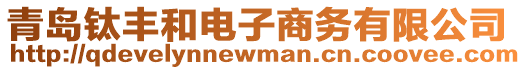 青島鈦豐和電子商務(wù)有限公司