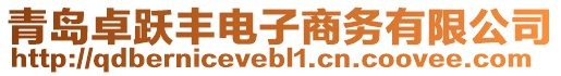 青島卓躍豐電子商務(wù)有限公司