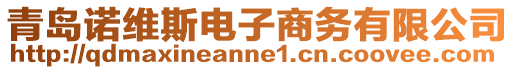 青島諾維斯電子商務有限公司