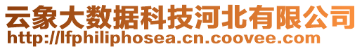 云象大數(shù)據(jù)科技河北有限公司