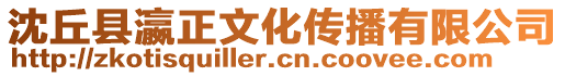 沈丘縣瀛正文化傳播有限公司