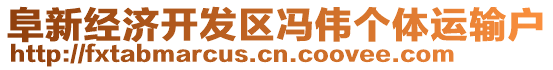 阜新經濟開發區馮偉個體運輸戶