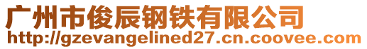 廣州市俊辰鋼鐵有限公司