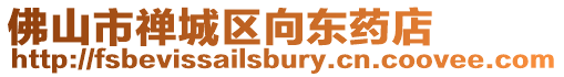 佛山市禪城區向東藥店