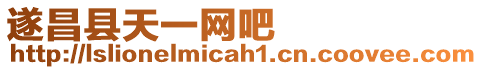 遂昌縣天一網(wǎng)吧