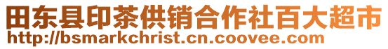 田东县印茶供销合作社百大超市