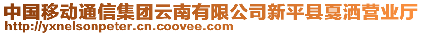 中國移動(dòng)通信集團(tuán)云南有限公司新平縣戛灑營業(yè)廳