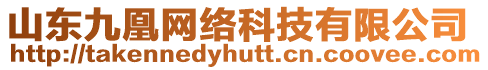 山東九凰網絡科技有限公司
