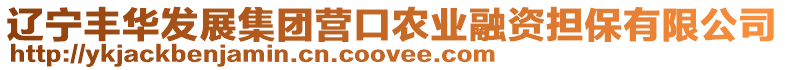 遼寧豐華發(fā)展集團(tuán)營(yíng)口農(nóng)業(yè)融資擔(dān)保有限公司