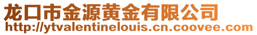 龍口市金源黃金有限公司