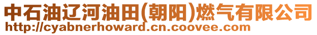 中石油遼河油田(朝陽)燃?xì)庥邢薰? style=