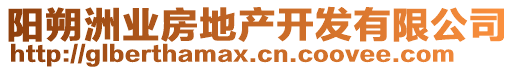 陽(yáng)朔洲業(yè)房地產(chǎn)開發(fā)有限公司