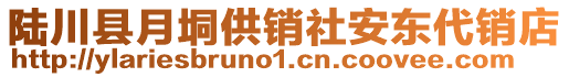 陸川縣月垌供銷社安東代銷店