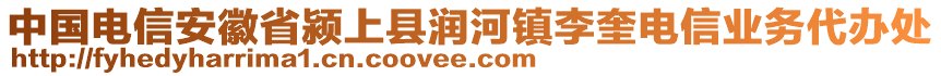 中國電信安徽省潁上縣潤河鎮(zhèn)李奎電信業(yè)務(wù)代辦處