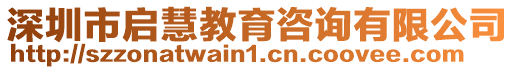 深圳市啟慧教育咨詢有限公司