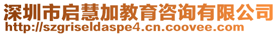 深圳市啟慧加教育咨詢有限公司