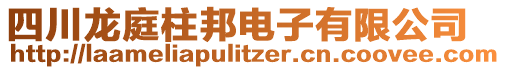 四川龍庭柱邦電子有限公司