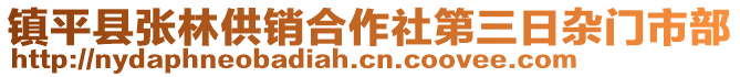 鎮(zhèn)平縣張林供銷合作社第三日雜門市部