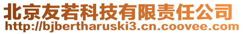 北京友若科技有限責(zé)任公司