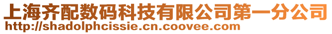 上海齊配數碼科技有限公司第一分公司