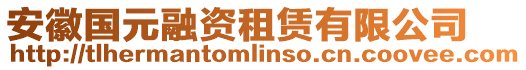 安徽國(guó)元融資租賃有限公司