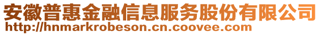 安徽普惠金融信息服務股份有限公司