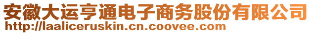 安徽大運亨通電子商務(wù)股份有限公司