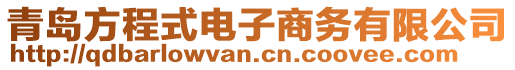 青島方程式電子商務(wù)有限公司