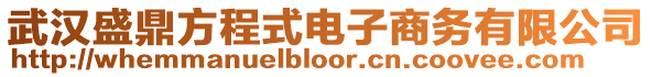 武漢盛鼎方程式電子商務有限公司