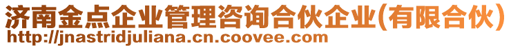 濟南金點企業管理咨詢合伙企業(有限合伙)