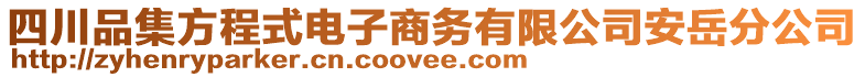 四川品集方程式電子商務(wù)有限公司安岳分公司