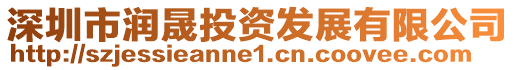 深圳市潤晟投資發展有限公司