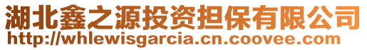 湖北鑫之源投資擔(dān)保有限公司