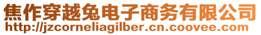 焦作穿越兔電子商務有限公司