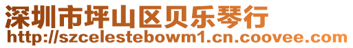深圳市坪山區(qū)貝樂琴行