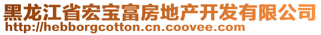 黑龍江省宏寶富房地產(chǎn)開發(fā)有限公司