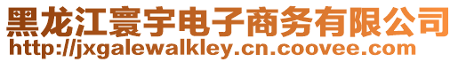 黑龍江寰宇電子商務有限公司